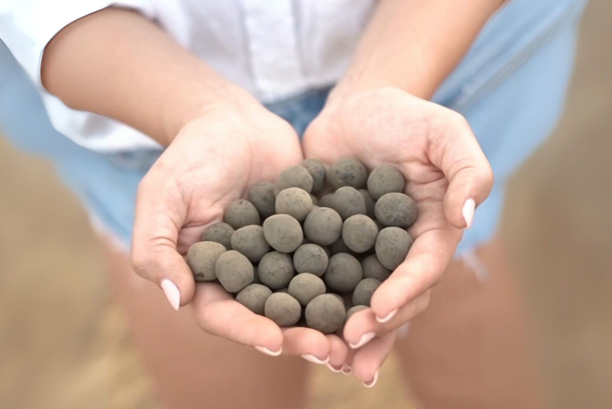 Seedball