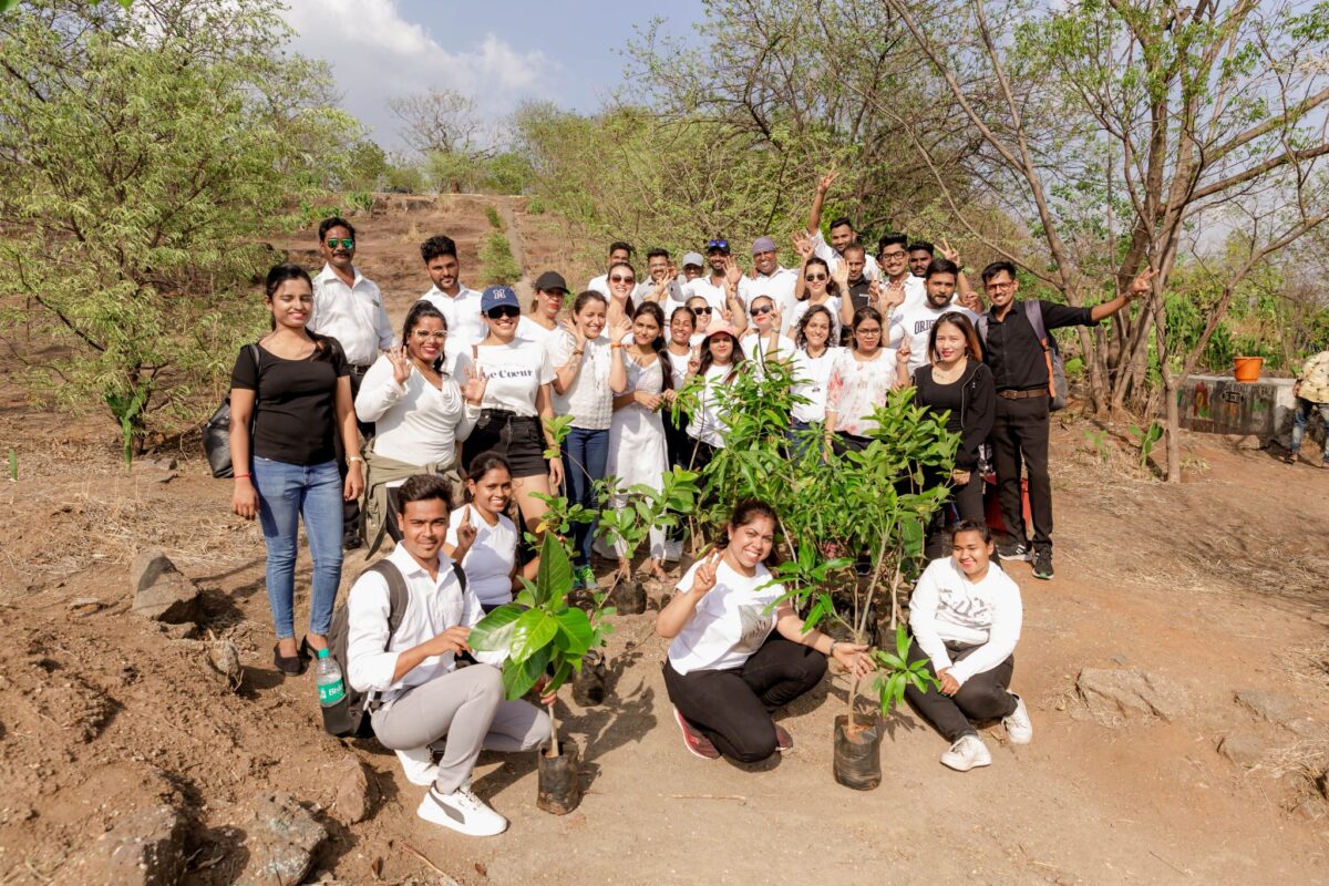 tree plantation drive