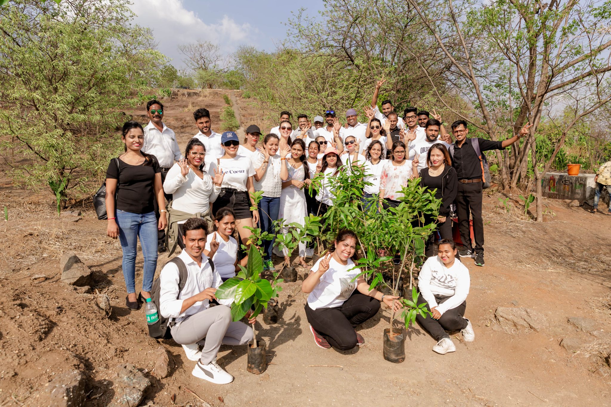 tree plantation drive